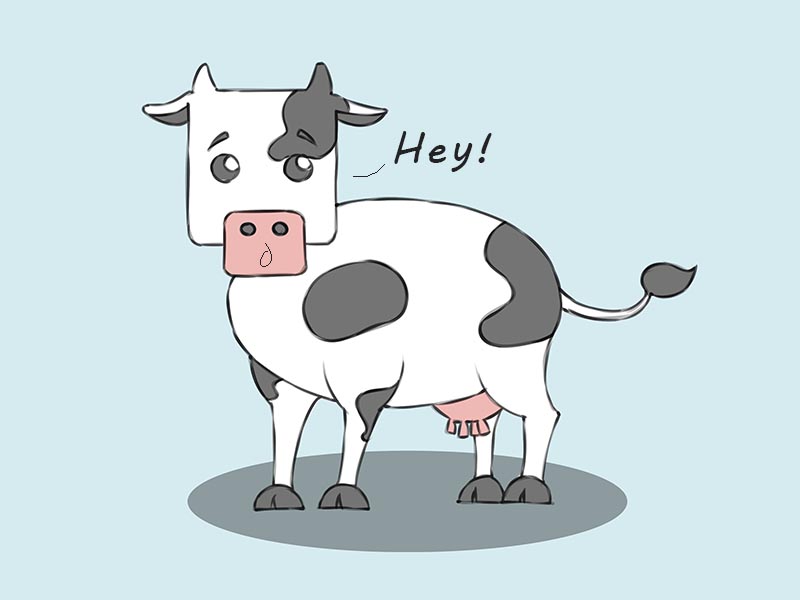 Cow