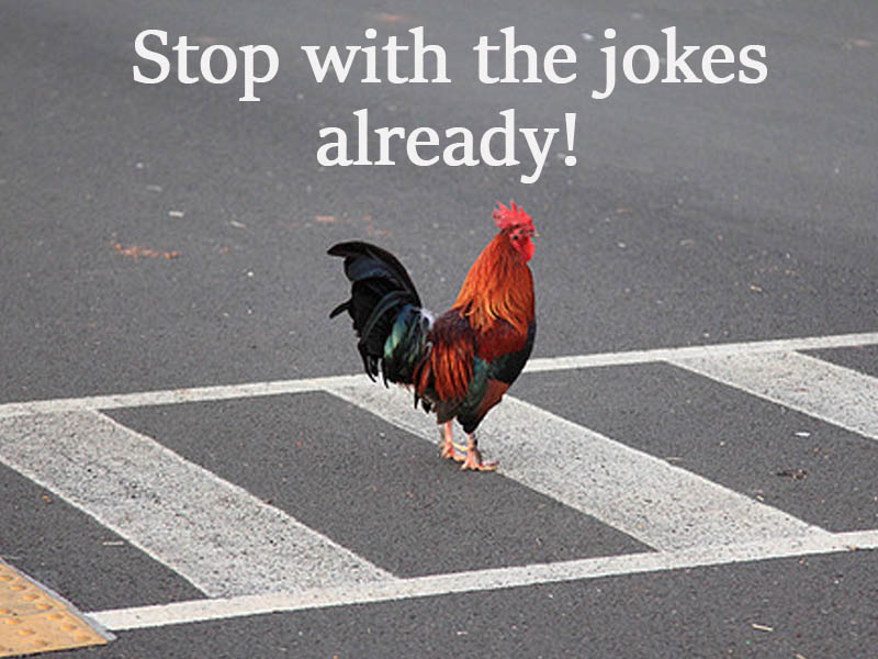 crossing the road jokes