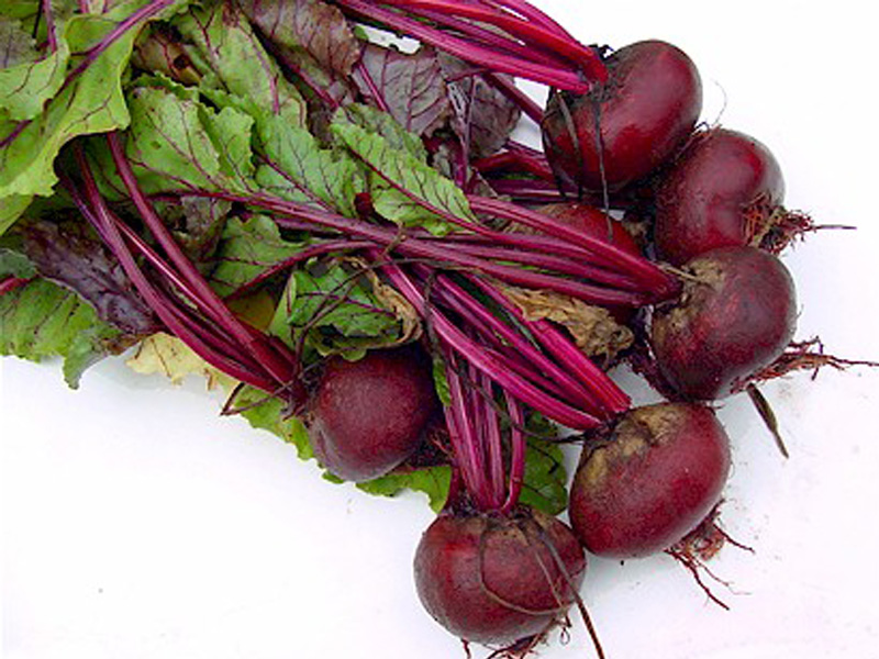 beetroots - mahatma gandhi favourite food