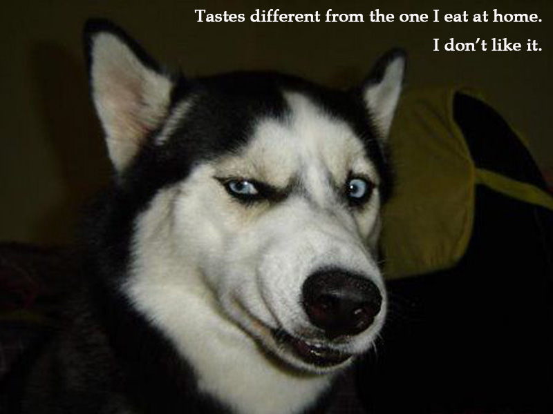 dog fussy eater
