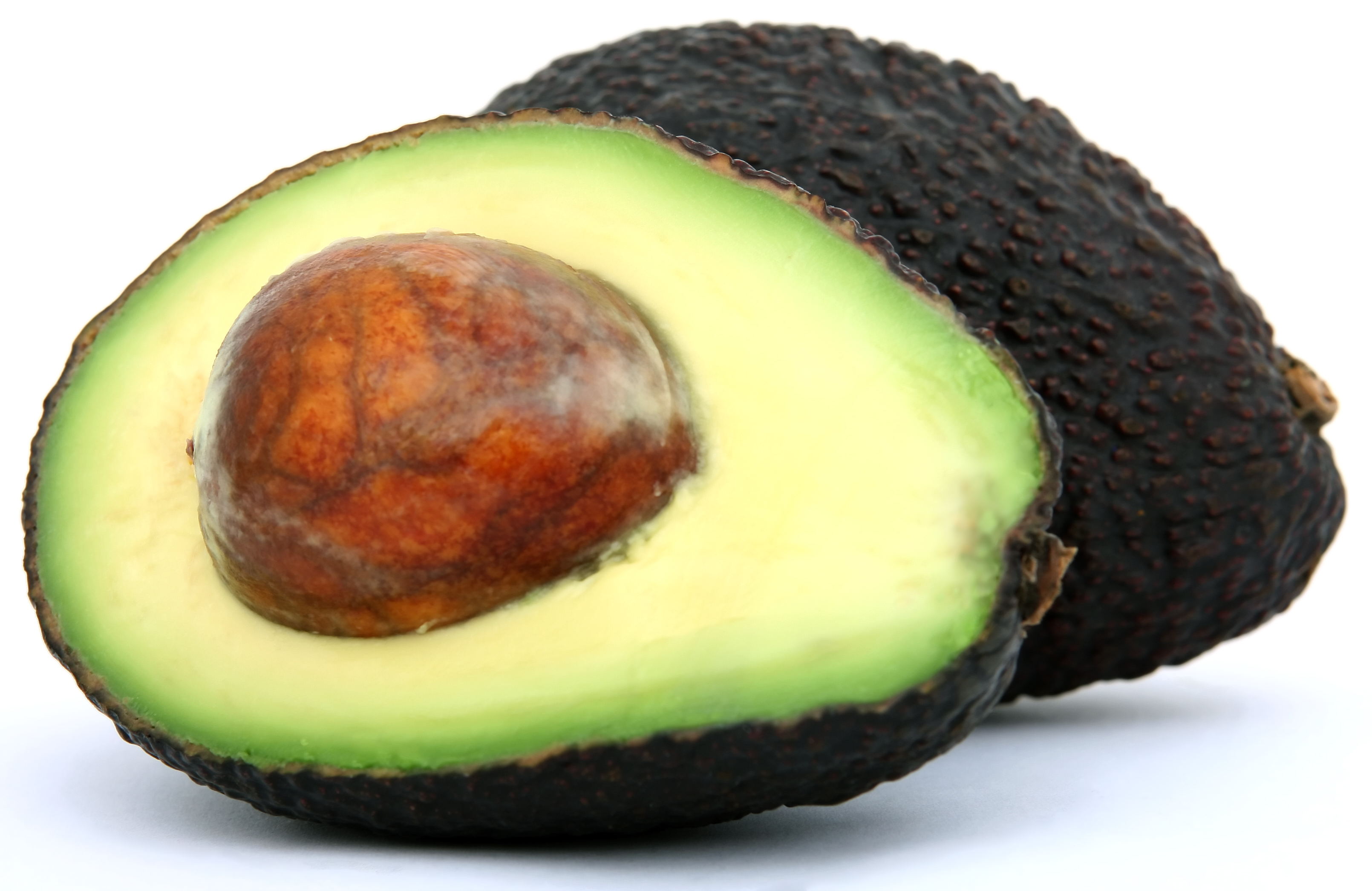 avocado1