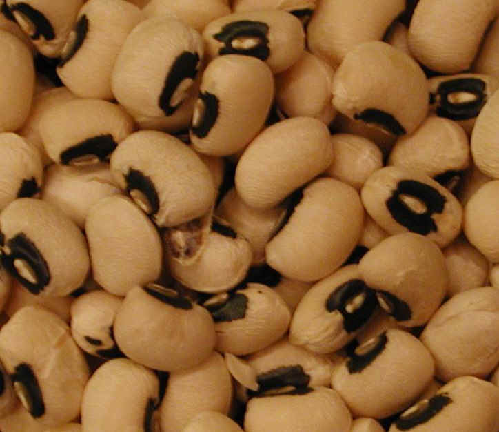 i-blackeyedpeas