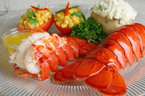 lobster-tail-plate-485