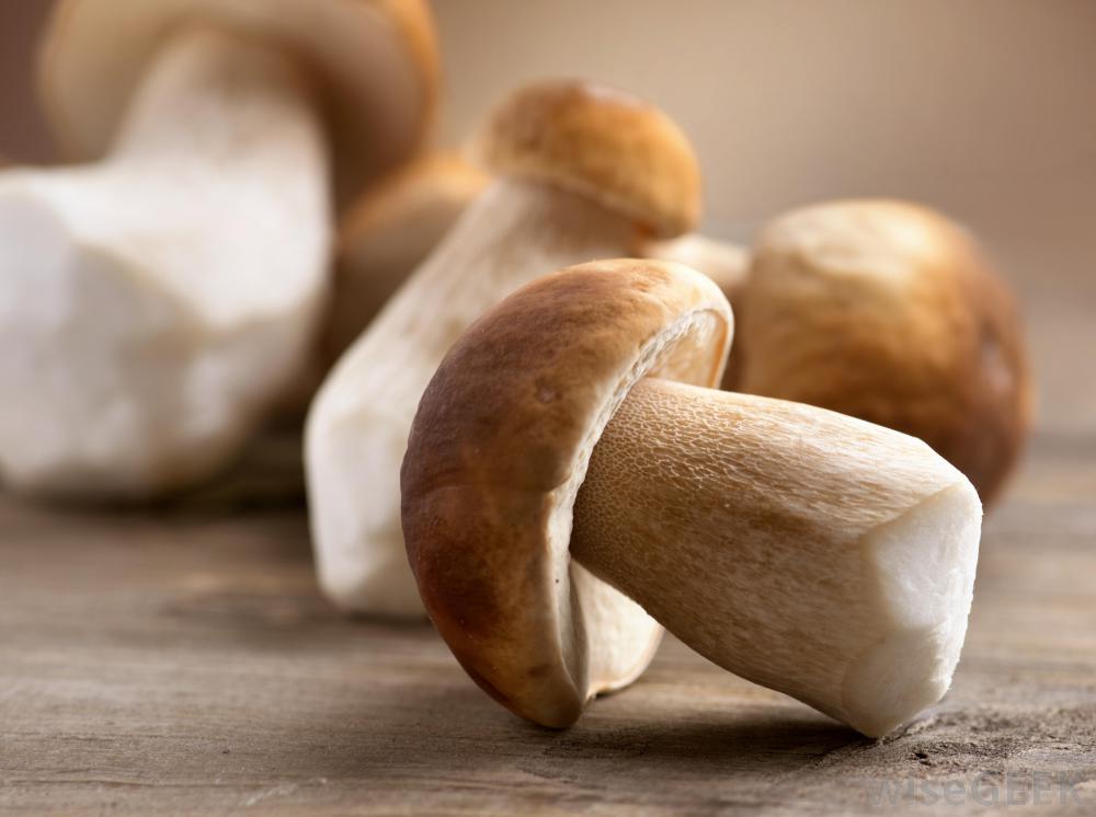 mushrooms-on-a-table