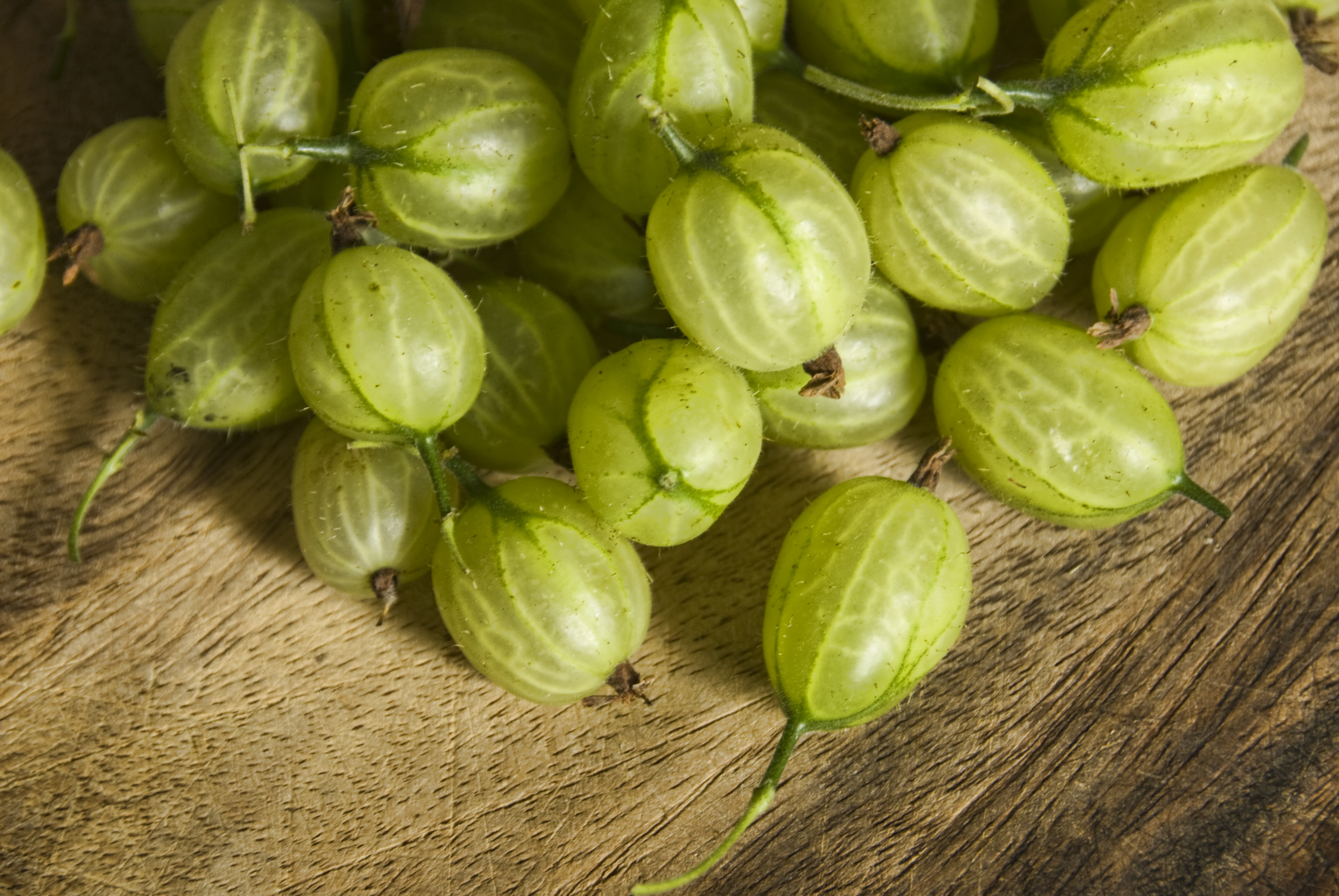 picked-gooseberries