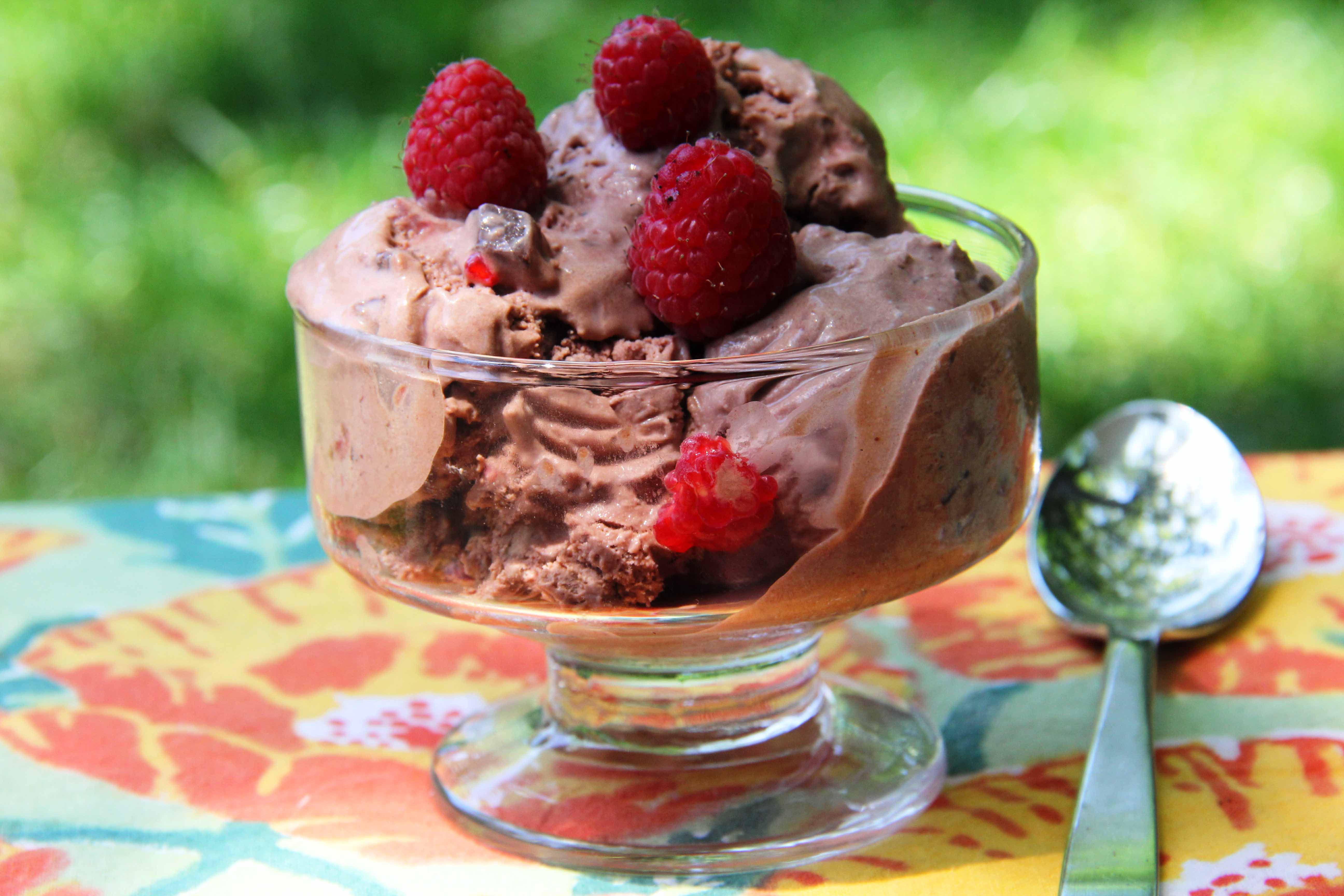 raspberry-chocolate-ice-cream-263