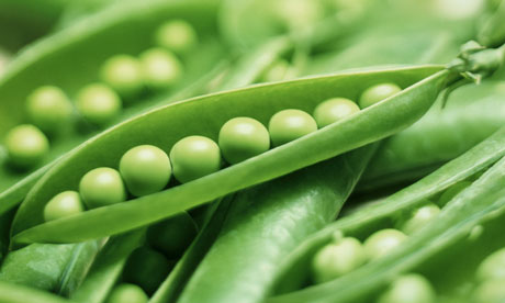 Peas-in-pods-006