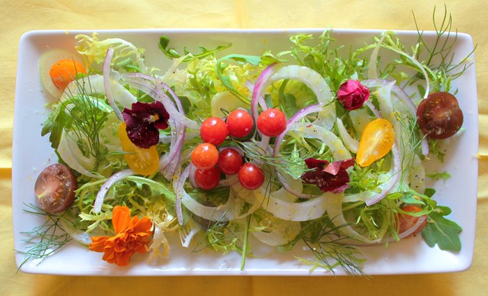 beautiful-salad