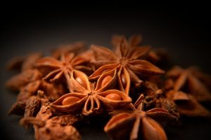 star_anise__macro_3_by_adamwita-d4goewg