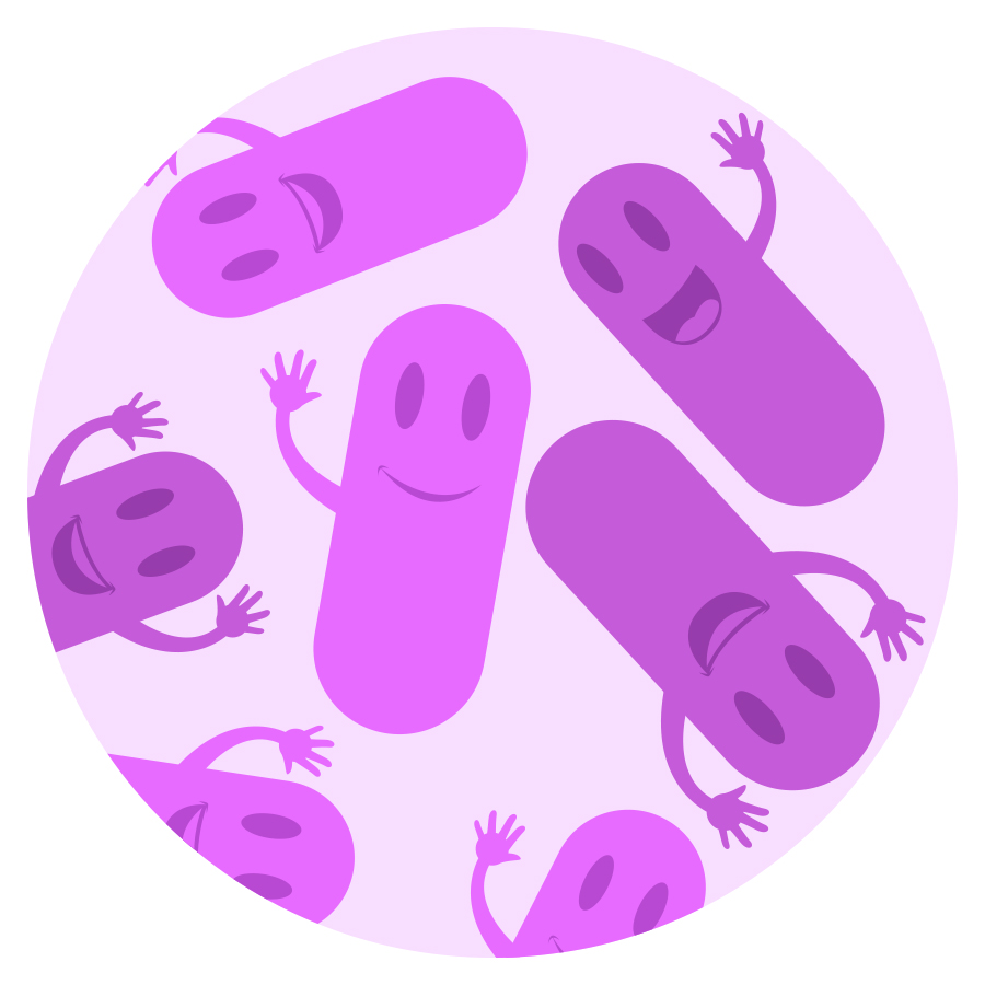 Bacteria