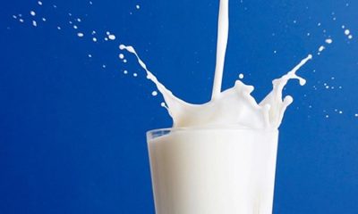 The Milk Taste Test