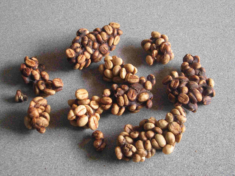 Kopi_Luwak_Indonesia_coffee_bean