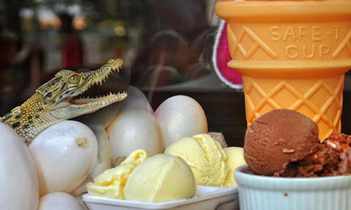 crocodile ice cream