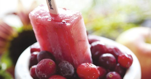 Apple Cranberry Popsicle Recipe