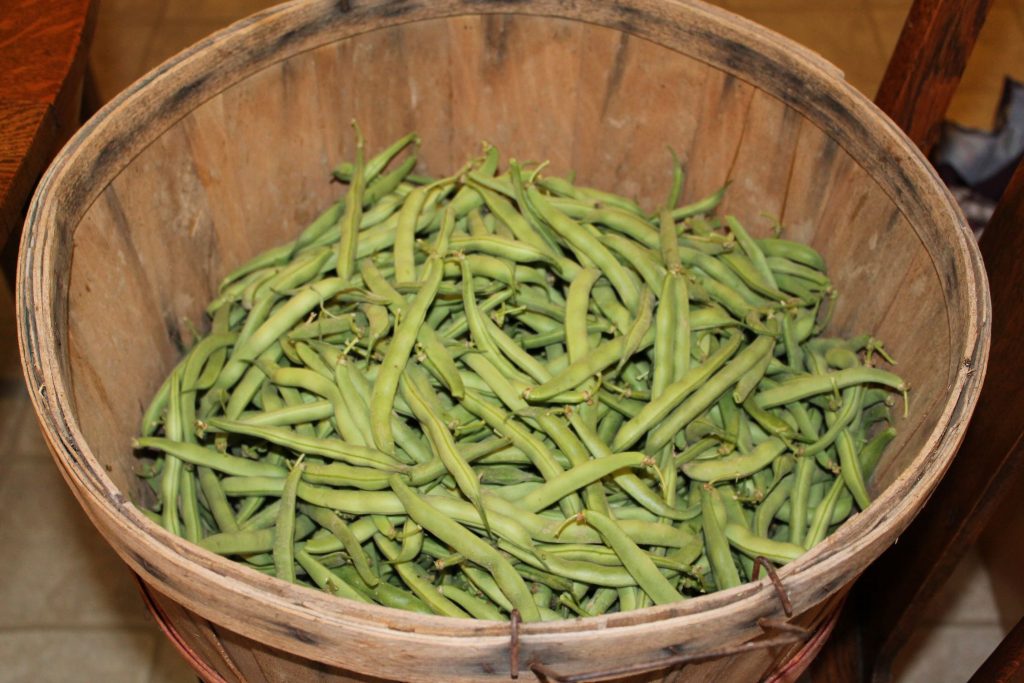 green beans