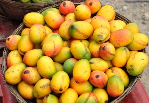 mangoes