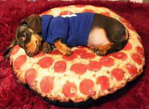 pepporoni pizza pillow