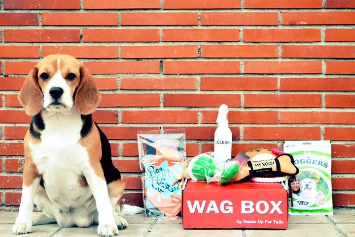 wagbox2LR