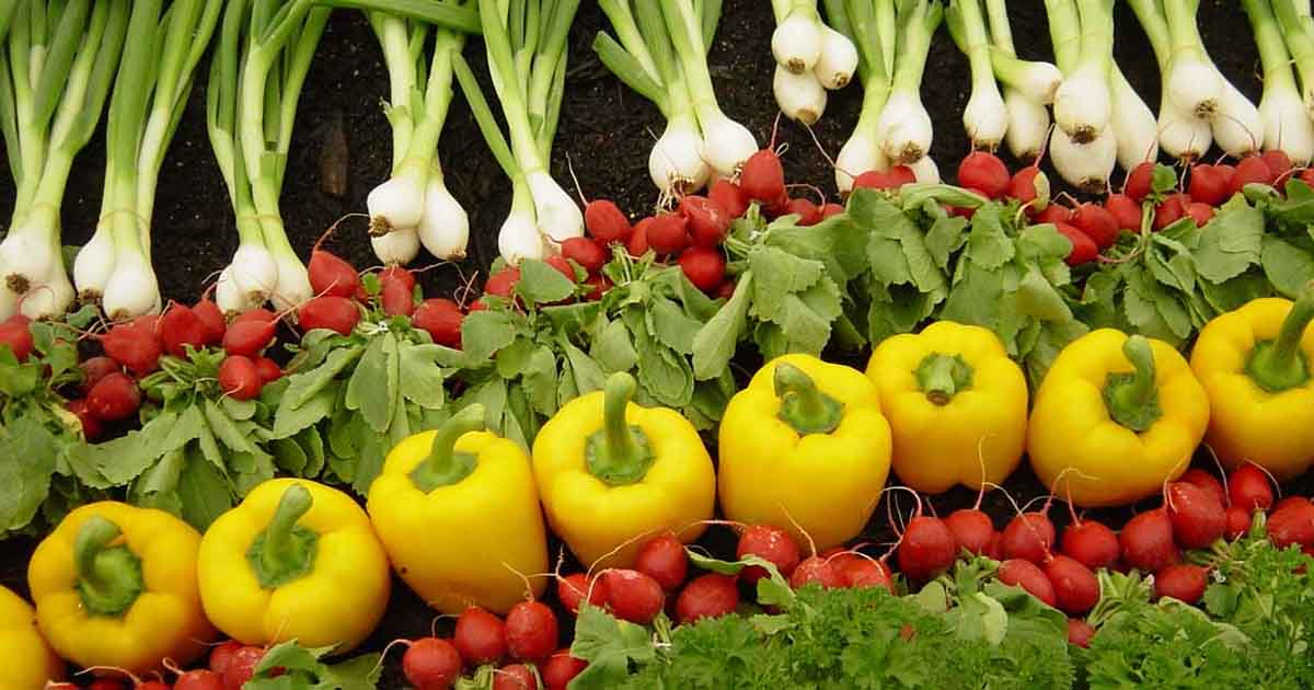 Sikkim Is Posed To Become Indias First Fully Organic State By The End Of This Year