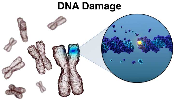 dna