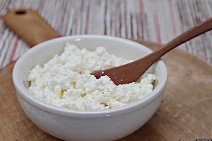 Ricotta