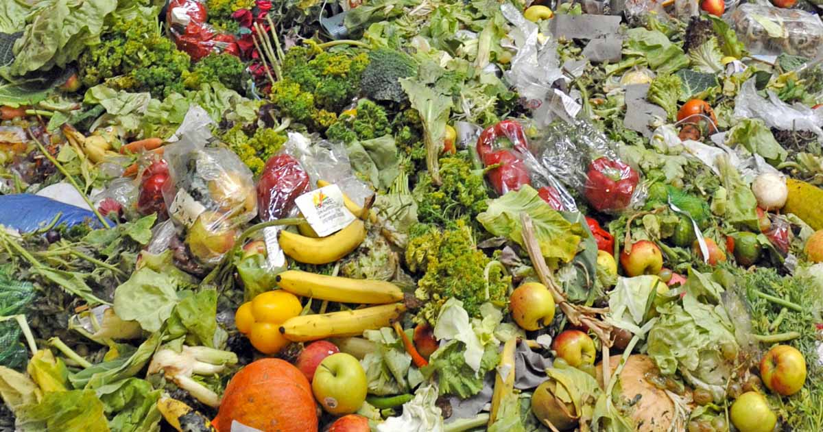 feature image un food waste