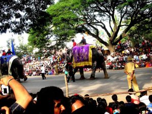 800px-Mysore_Dasara_procession_compressed