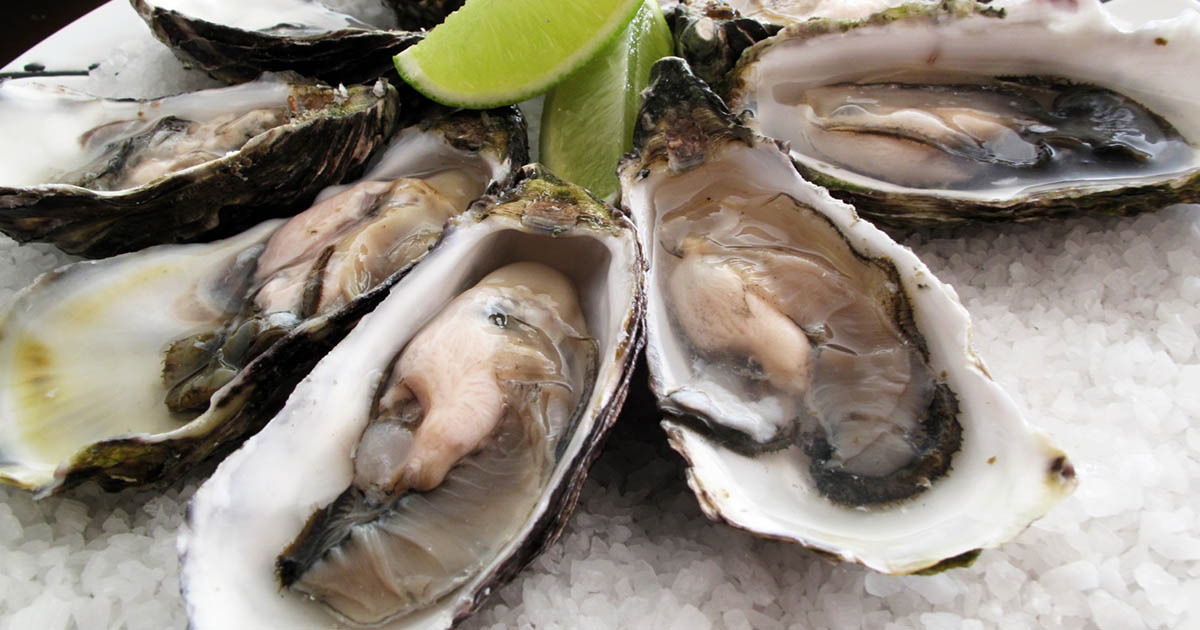 Pacific_oysters