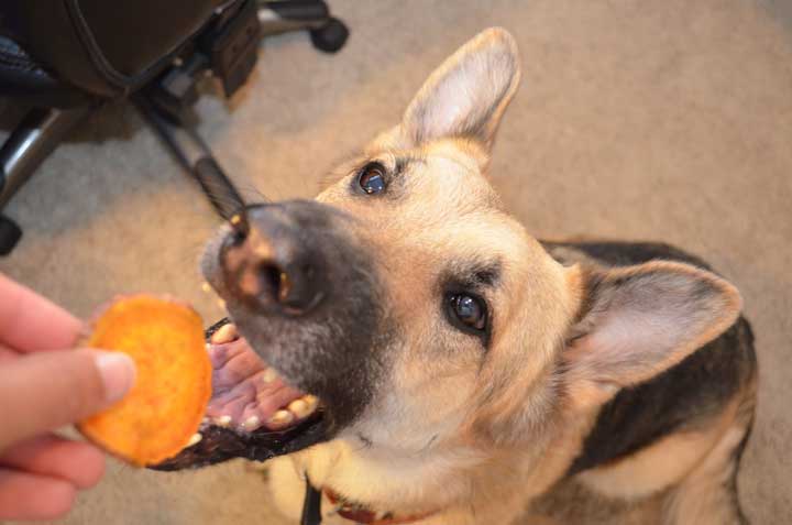 SweetPOtatoes