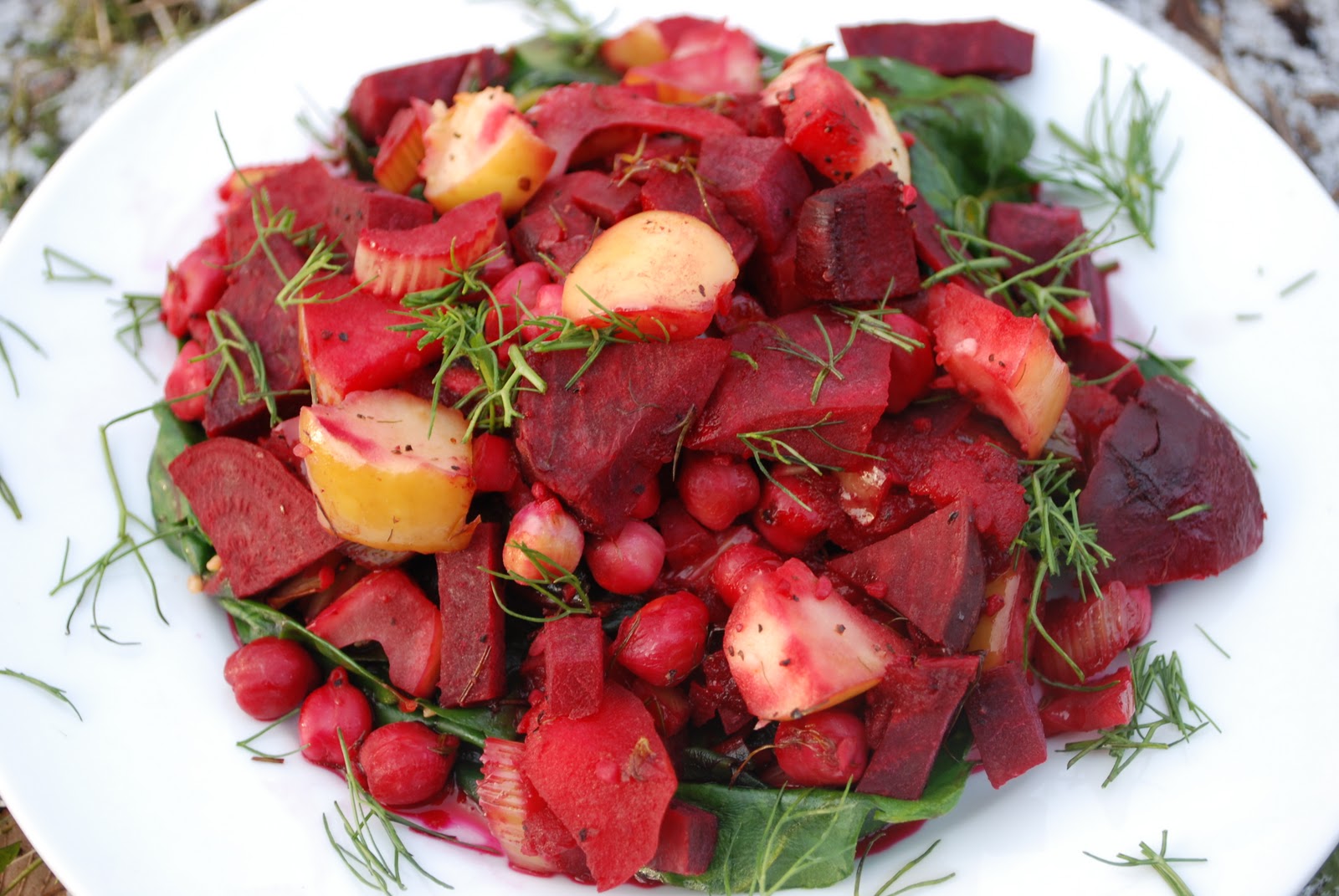 Roasted Beets, Apples, and Fennel Recipe - HungryForever Food Blog