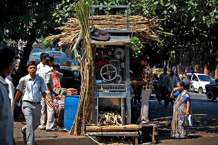 Sugarcane