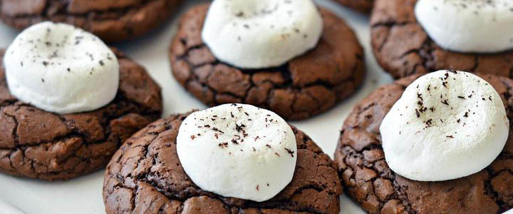 cocoa-cookie-recipe-featured-image-720x300