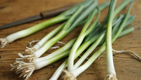 spring-onions1