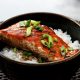 salmon-teriyaki-recipe