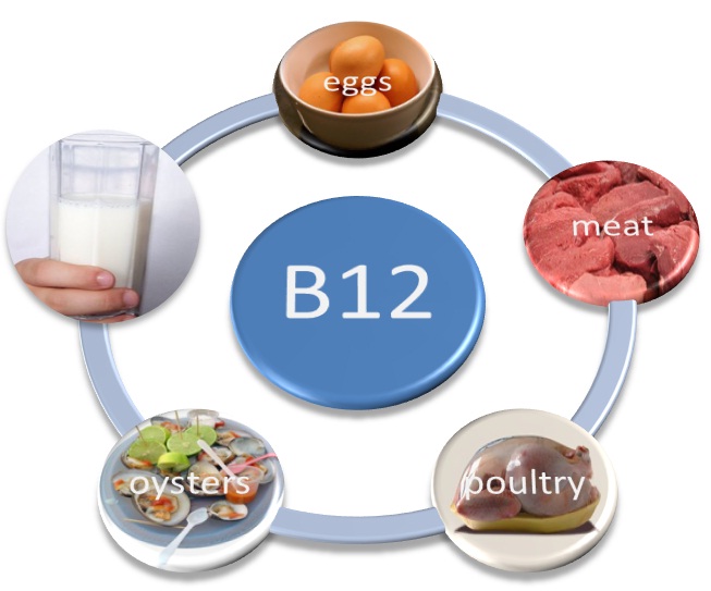 B12