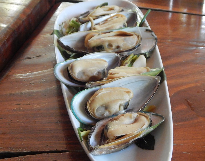 Oysters