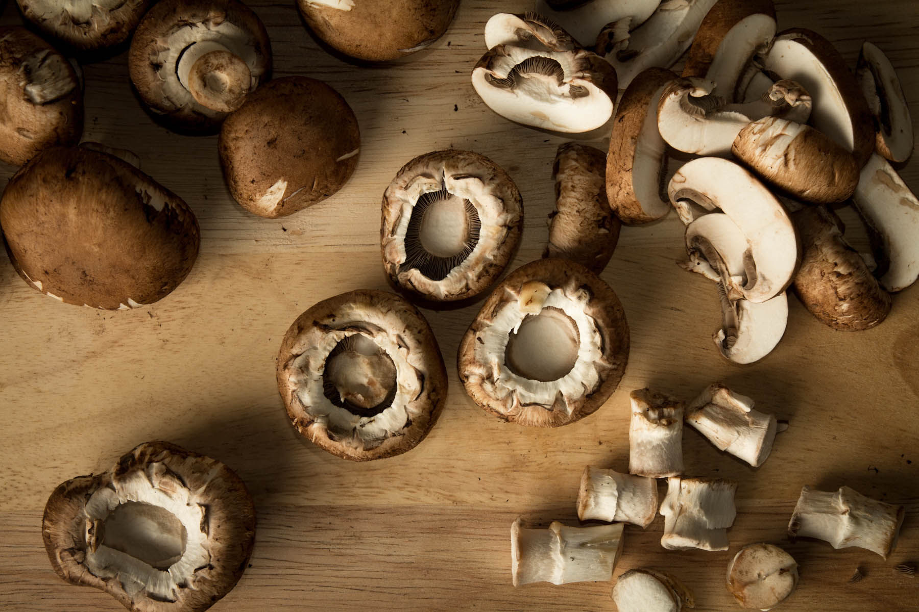 mushrooms-1551