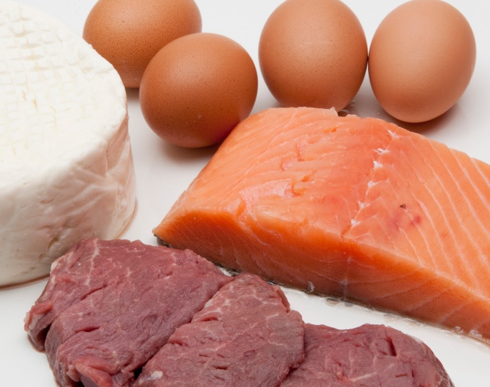 Some exemples of animal protein, eggs, cheese, fish, and