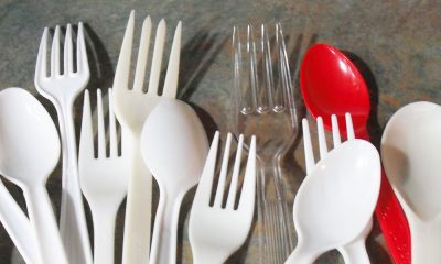 France Makes A Huge Change and Bans Plastic Plates, Cups and Cutlery Photo