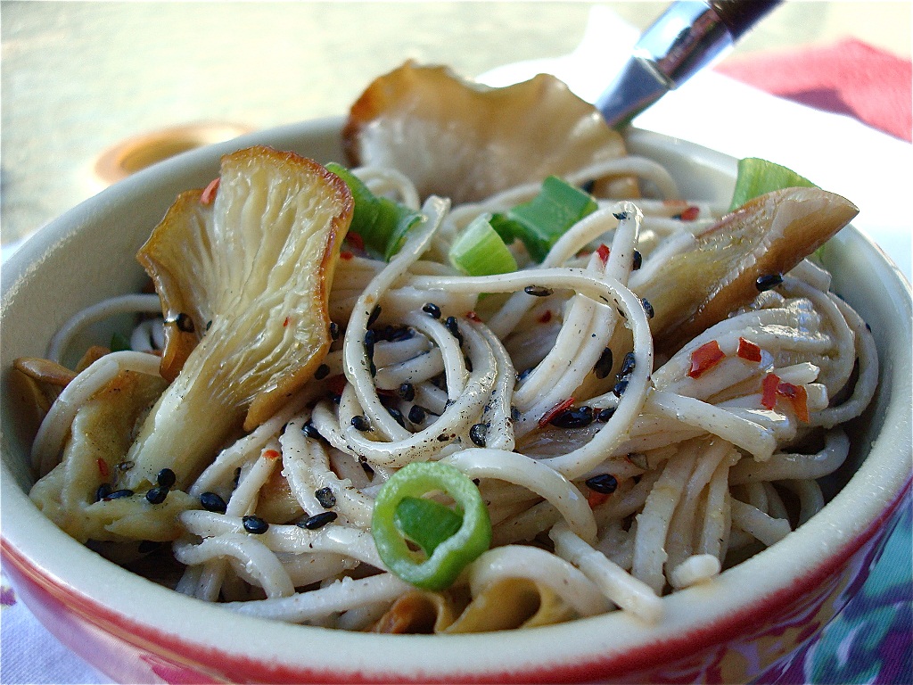 Spicy Mushroom Noodles Recipe | HungryForever