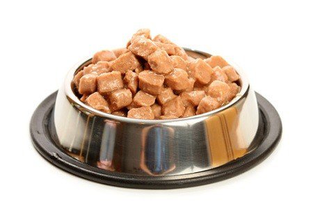 canned-dog-food