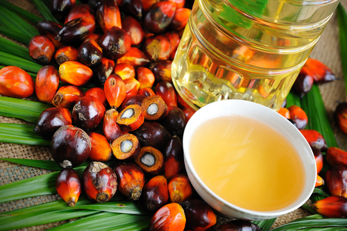 palm-oil