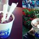 mcflurry-party-france-spain