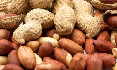 peanut-allergies-infants