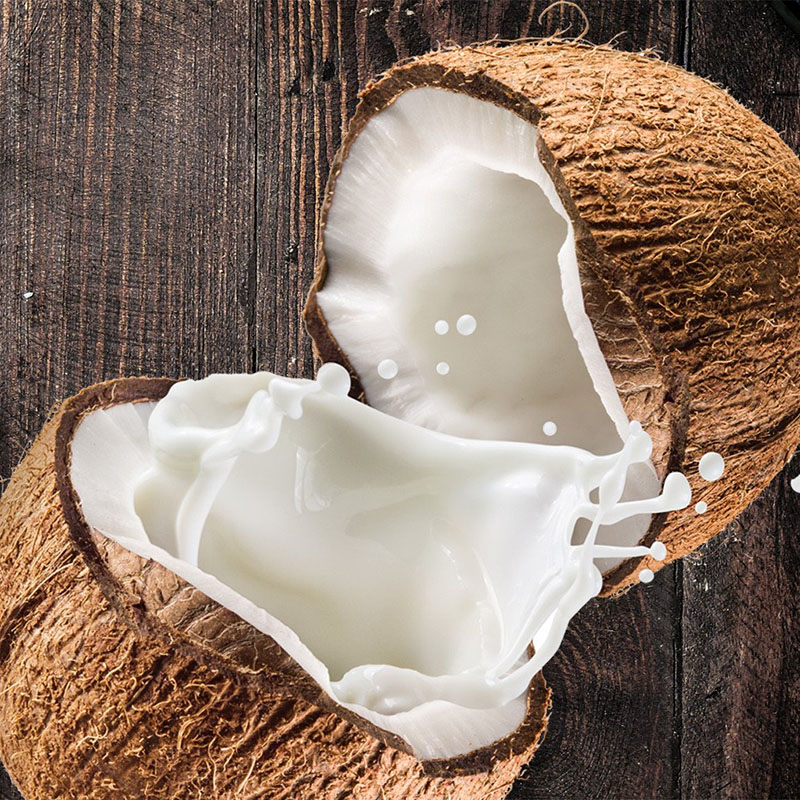 coconut-milk-tutorials