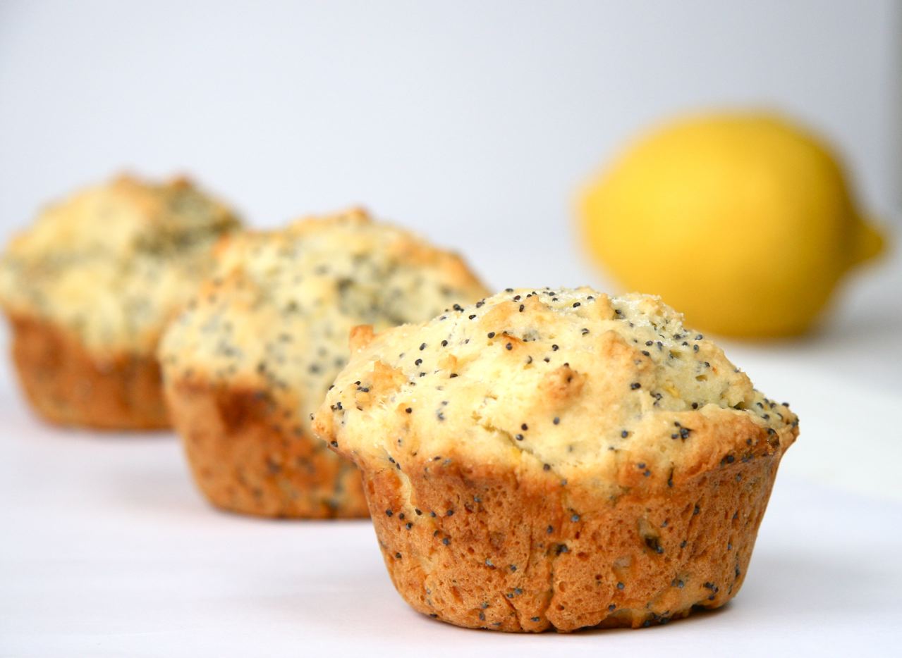 Seinfield Poppy Seed Muffin Recipe HungryForever Food Blog