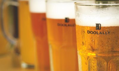 doolallys-craft-beer-india