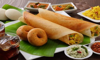food-bogger-india-hf