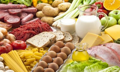 Fact about protein diet you need to know while having your protein