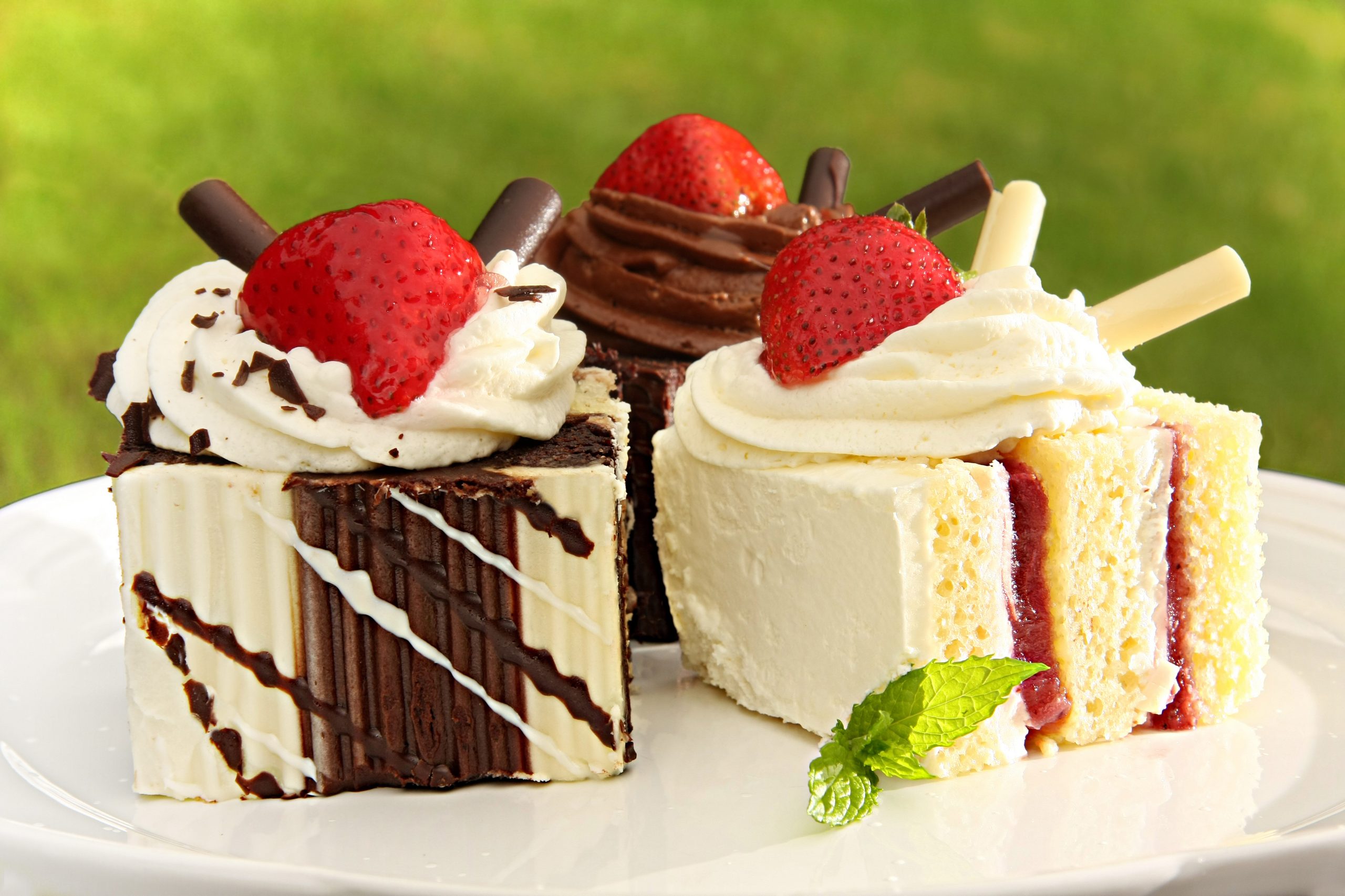 Oven fresh cakes all across Mangalore HungryForever Food Blog